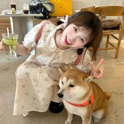 夜间女妖 封面