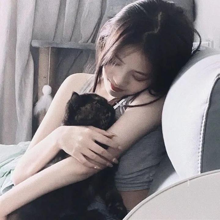 无声的证言第二十八季 封面